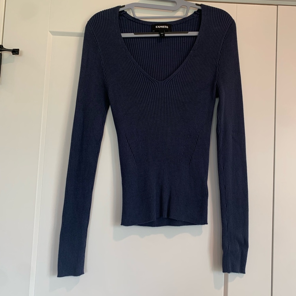 Blue Express Fitted Vneck Sweater